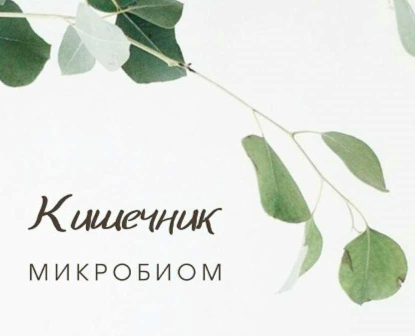 Гид по микробиоте: дисбактериоз, питание, пробиотики (Анастасия Родионова)