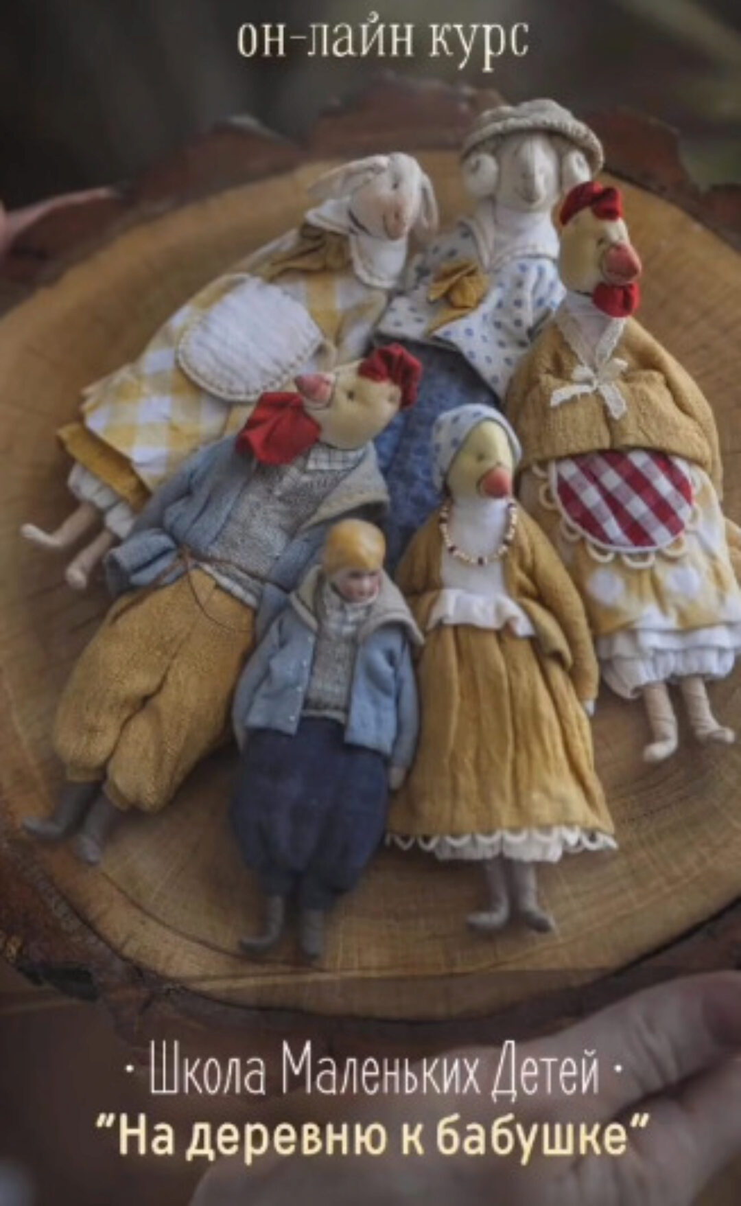 Школа Маленьких Детей. На деревню к Бабушке (Наталья Суранова)