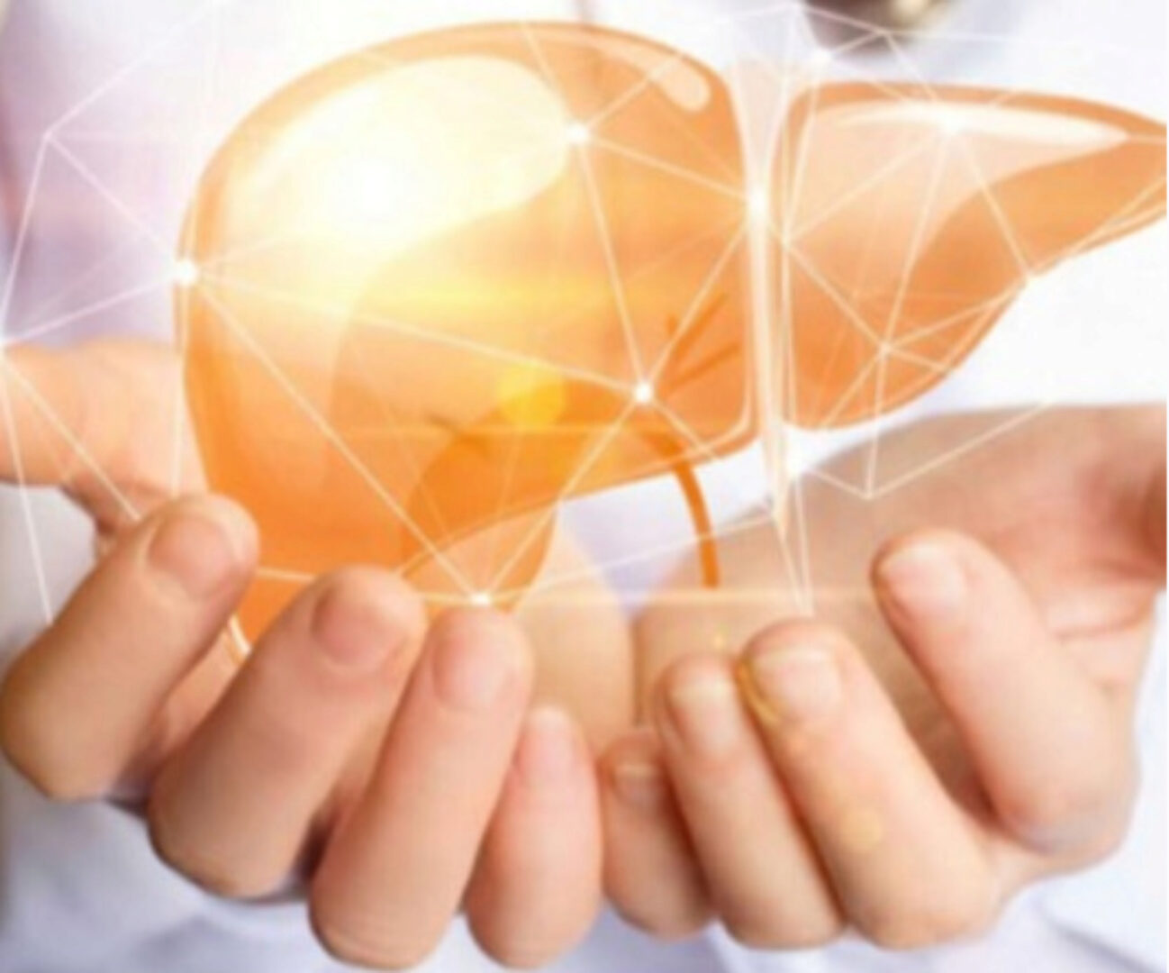 Здоровая печень: методическое пособие (Владимир Калмыков, Светлана Калмыкова)