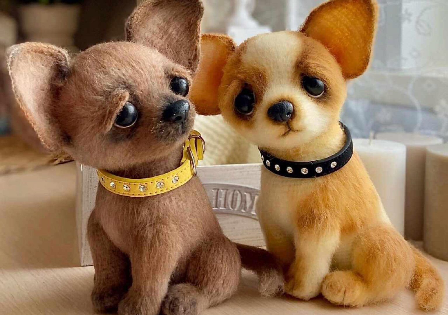 Щенки Чихуа-хуа (Юлия Оголь)