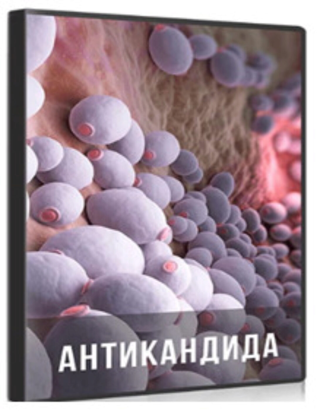 Антикандида (Ольга Бутакова)