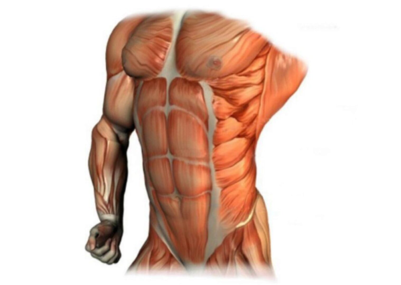 [stas_swoboda] Функциональный Кор (Стас Свобода)