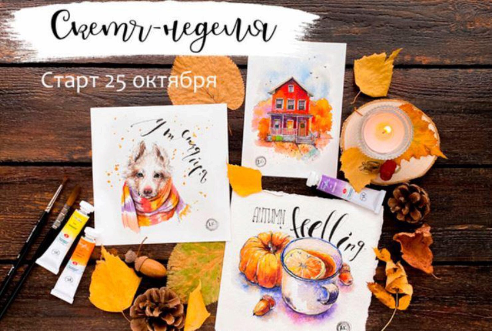 [Dream&Draw] Скетч-неделя (Анастасия Козлова)