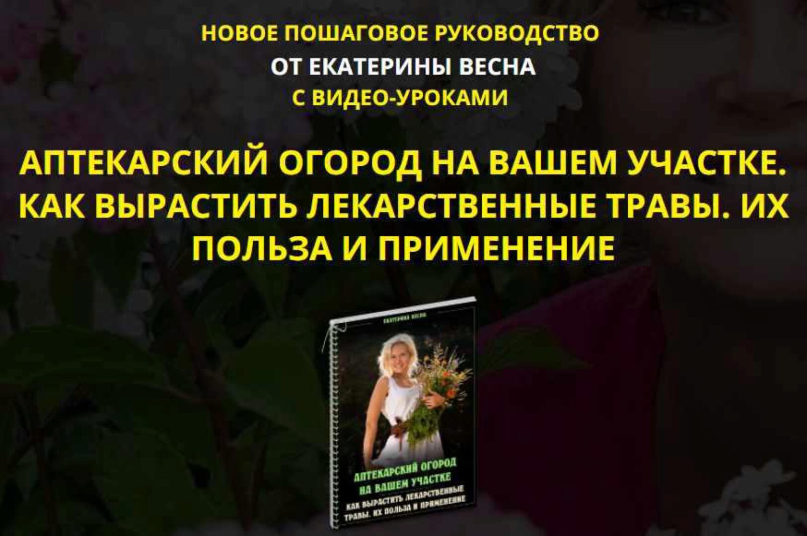 Аптекарский огород на вашем участке. Как вырастить лекарственные травы. Их польза и применение. Premium комплект (Екатерина Весна)