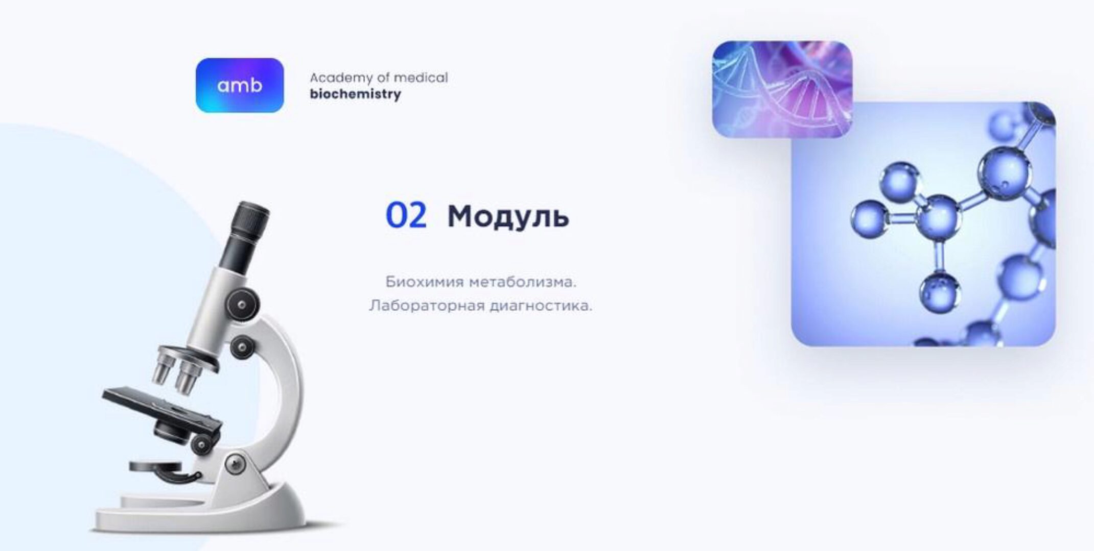 [amb] Основы биохимии. 2 модуль (Елизавета Радевич)