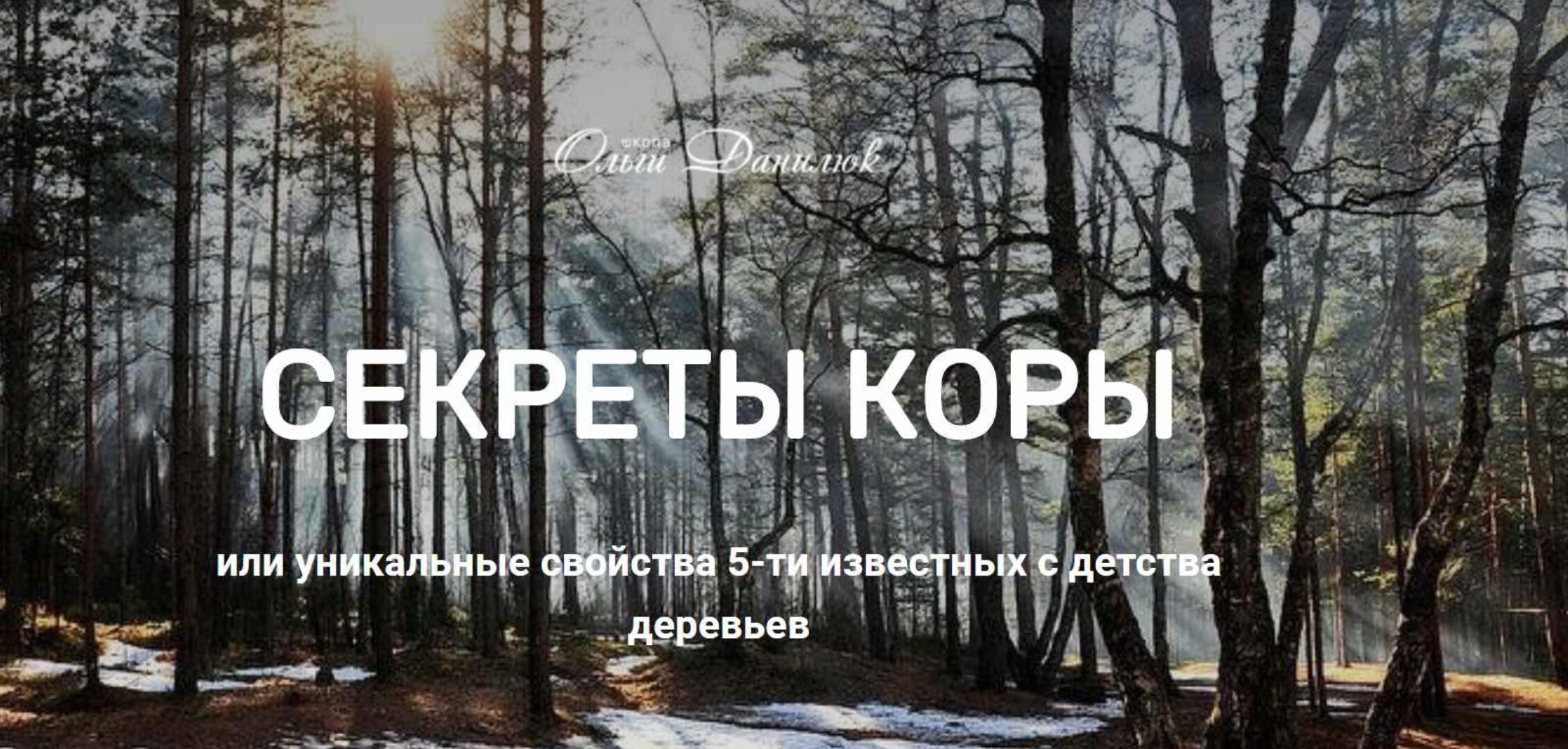 [Школа траволечения доктора Ольги Данилюк] Секреты коры (Ольга Данилюк)