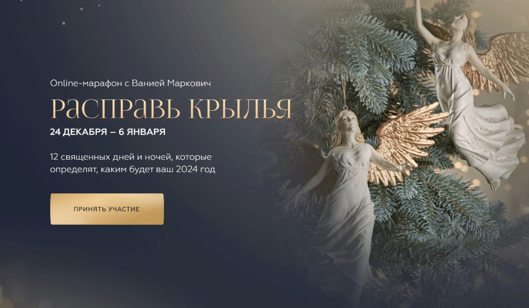 Расправь крылья 2024. Тариф Расширенный (Вания Маркович)