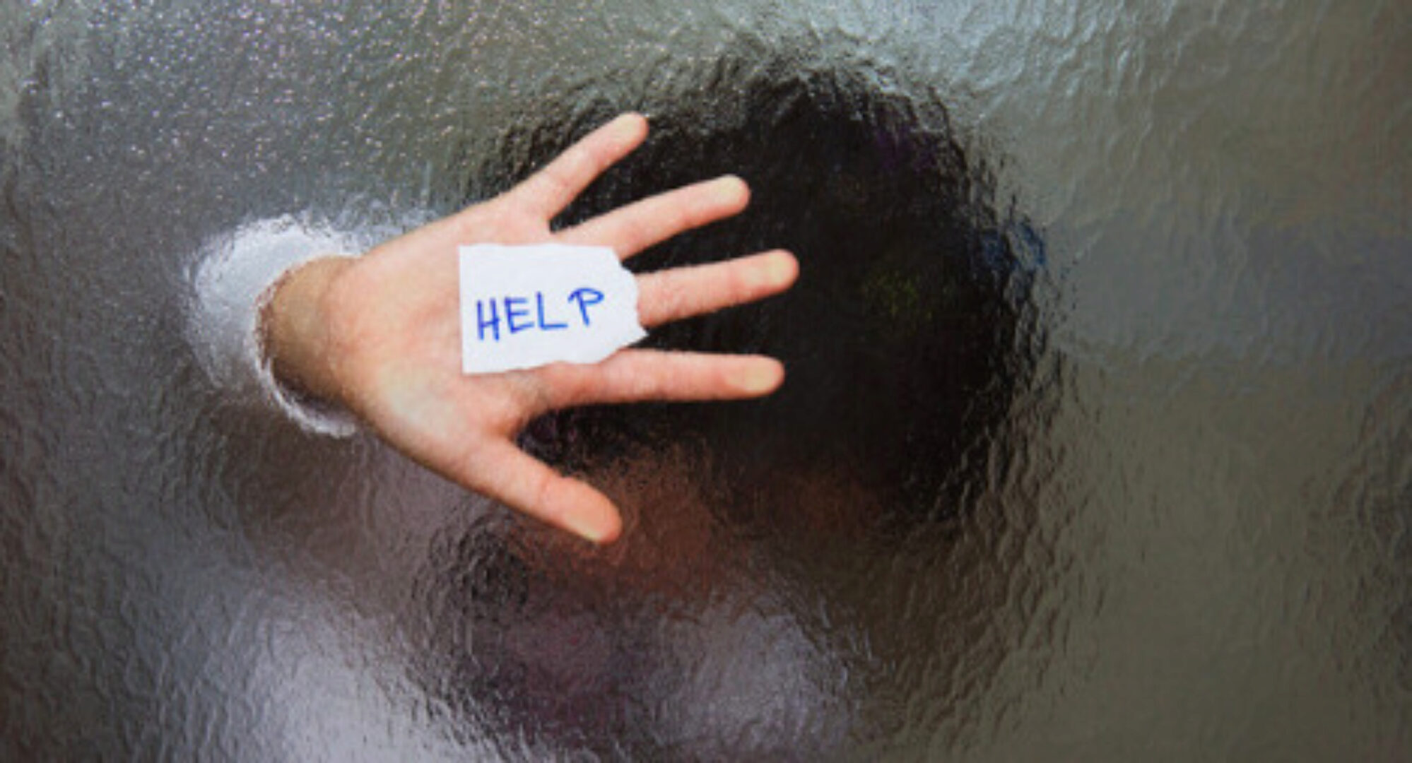 [Институт Открытого Поля]  Жестокая семья (Елена Веселаго)