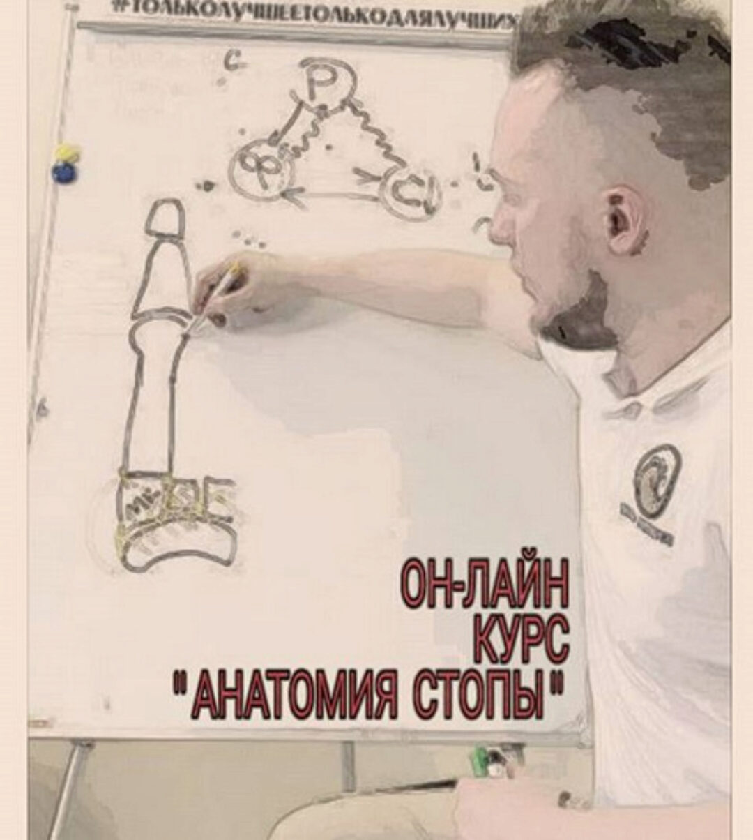 Анатомия стопы (Кирилл Шлыков)