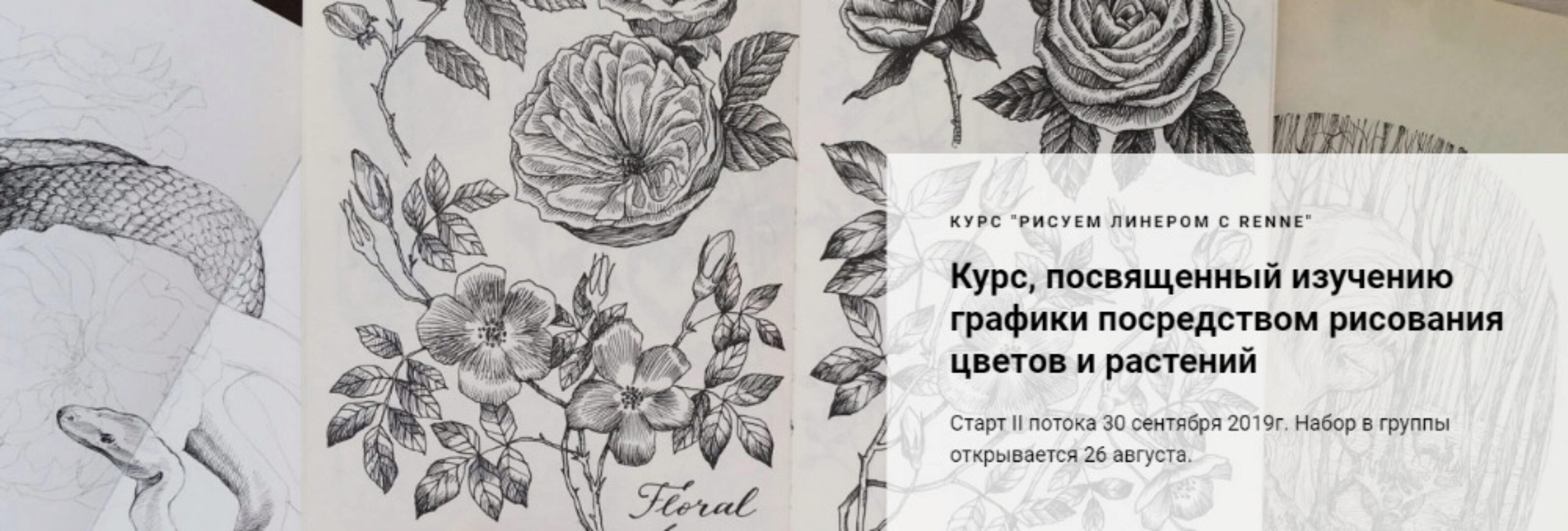 Рисуем линером  с Renne. 2 поток [Renne Studio]