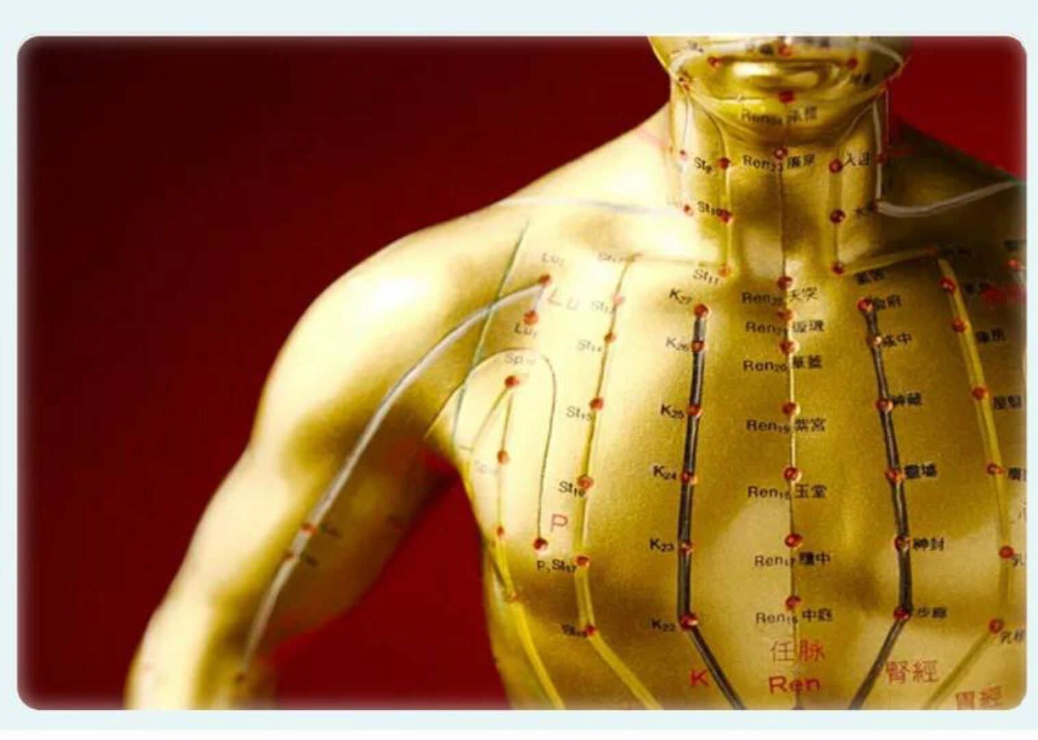 Восточная Медицина! 2 уровень (Владимир Заворотный)