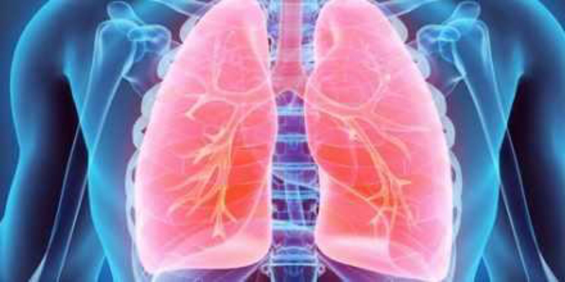 Коррекция легких (Юджиния Квант)