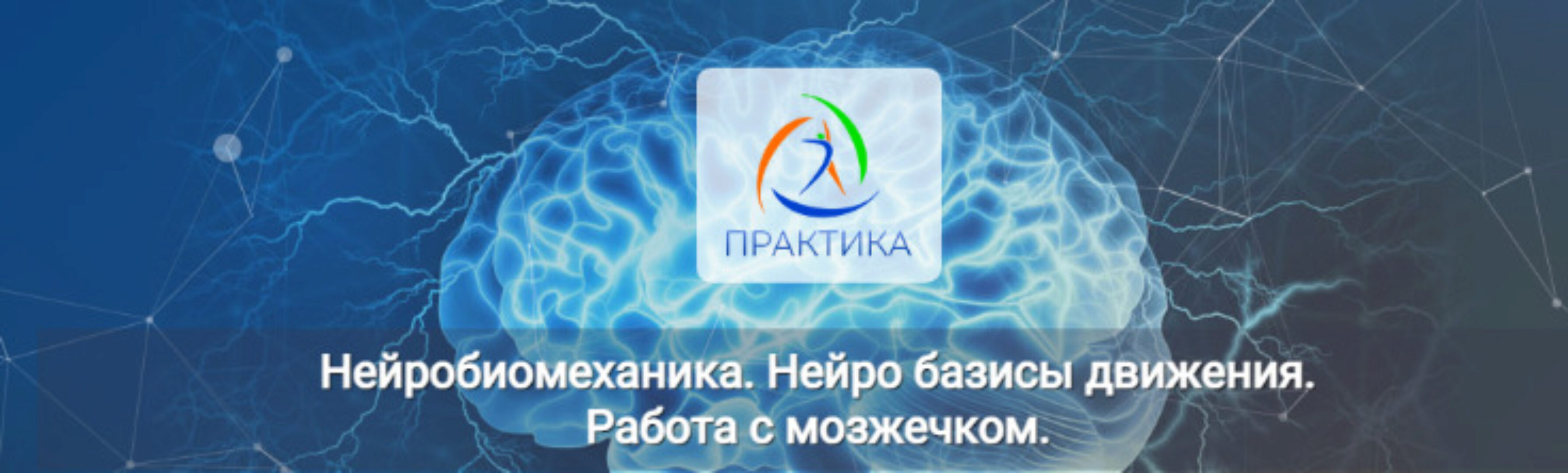 [Центр Практика] Нейробиомеханика. Нейро базисы движения. Работа с мозжечком (Альмир Марванов)