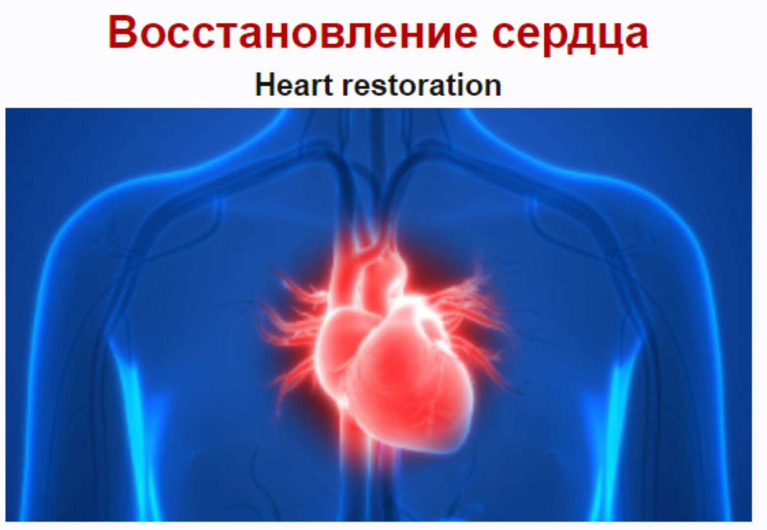 [Sigh Energy] Восстановление сердца | Heart restoration
