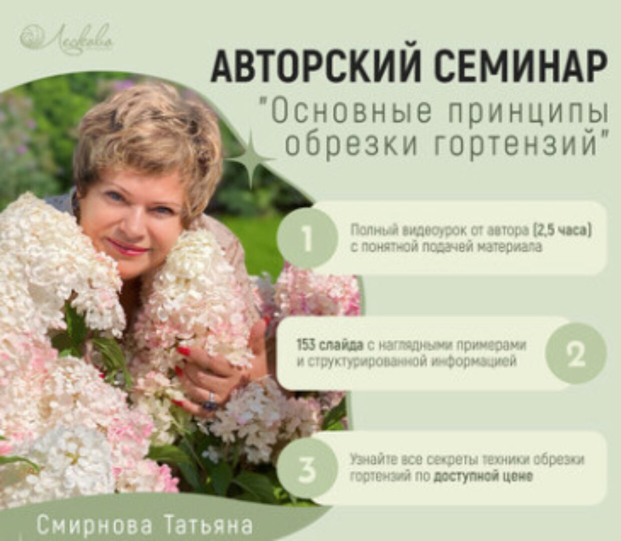 Основные принципы обрезки гортензий (Татьяна Смирнова)