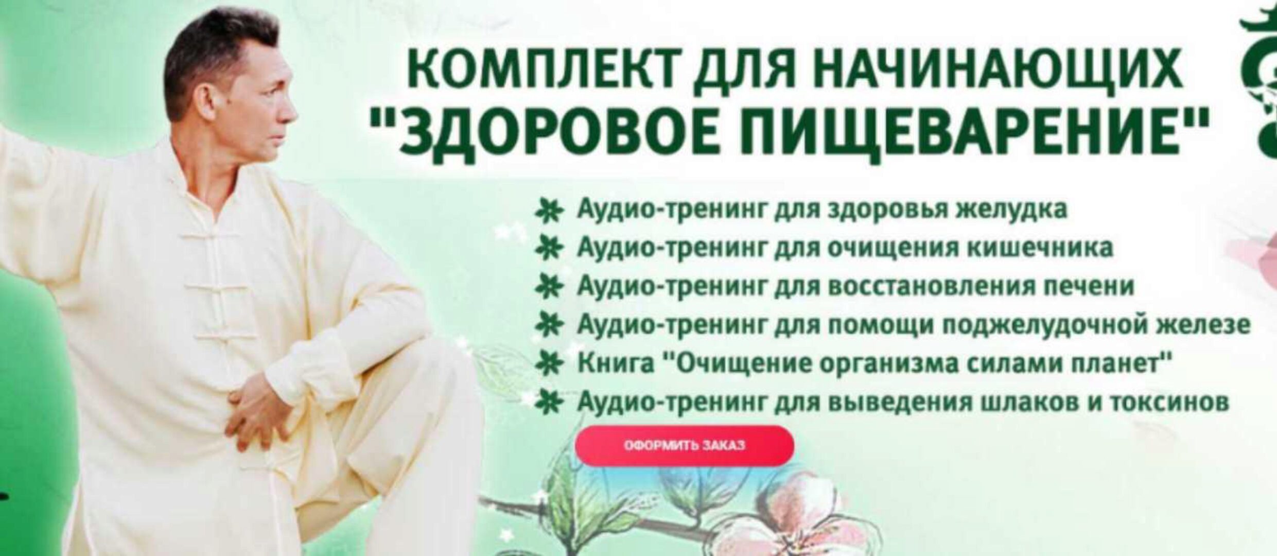 Здоровое пищеварение (Владимир Осипов)