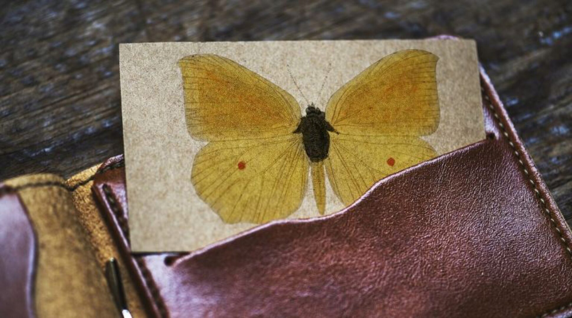 Настоящее имя (Елена Веселаго)