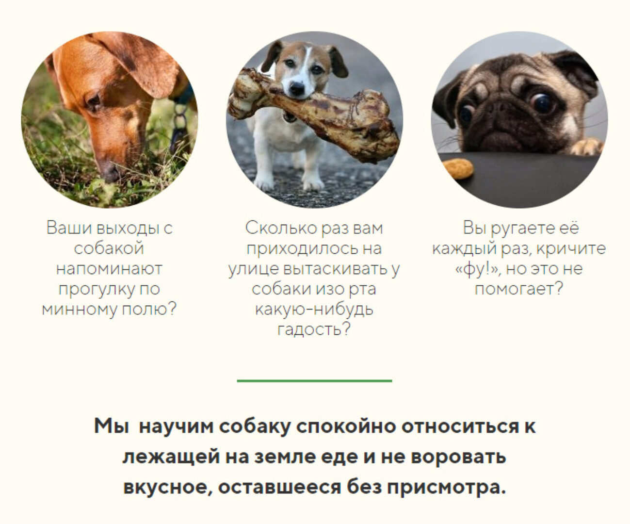 [kinologschool] Помойка: Как отучить собаку подбирать еду на улице (Антонина Зимарева)