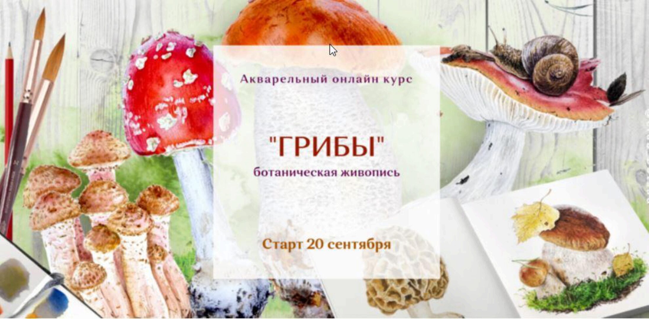 Грибы. Ботаническая живопись. Тариф «Базовый» (Нина Петровская)