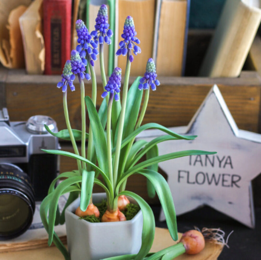 Мускари (Татьяна Кононова) @tanyaflower