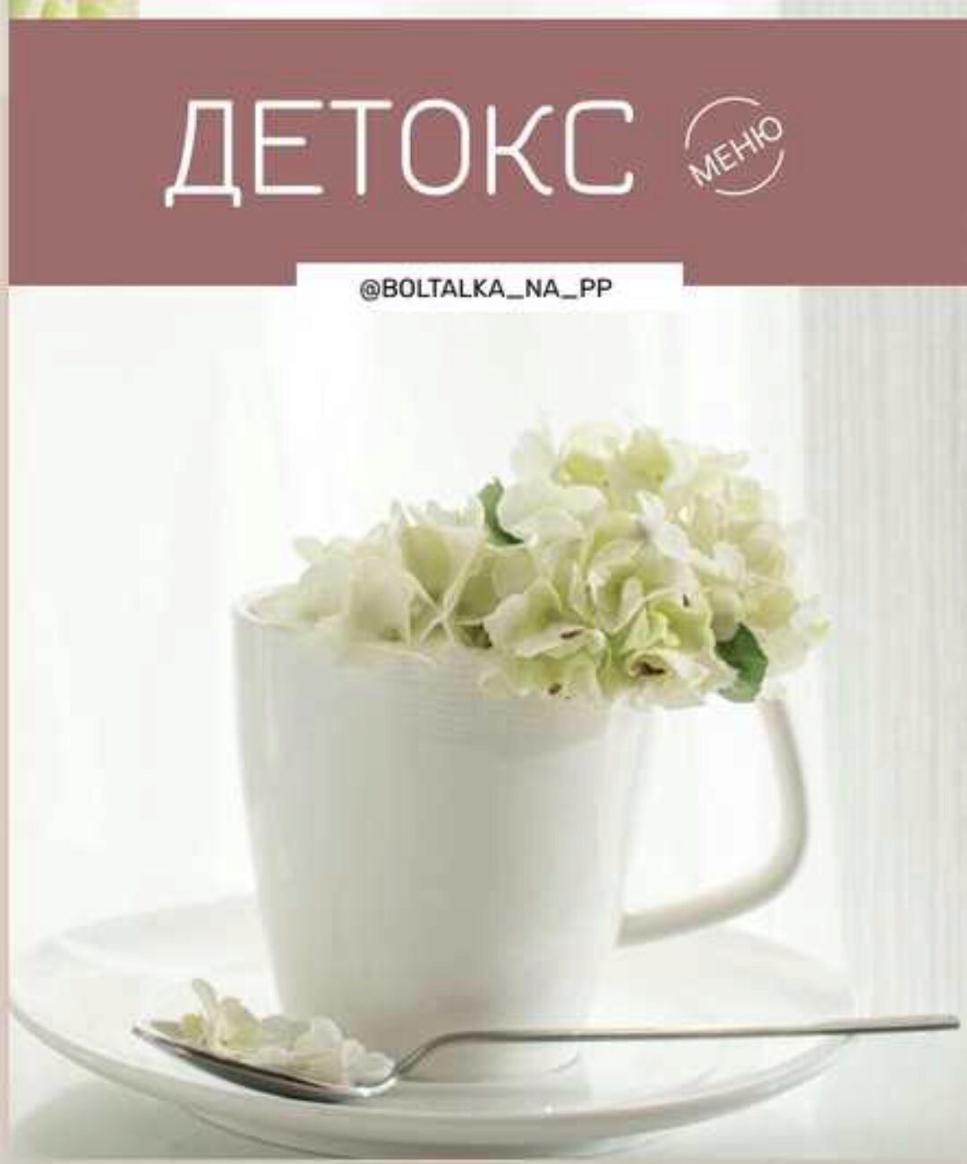 [boltalka_na_pp] Детокс меню (Юна Витковская)