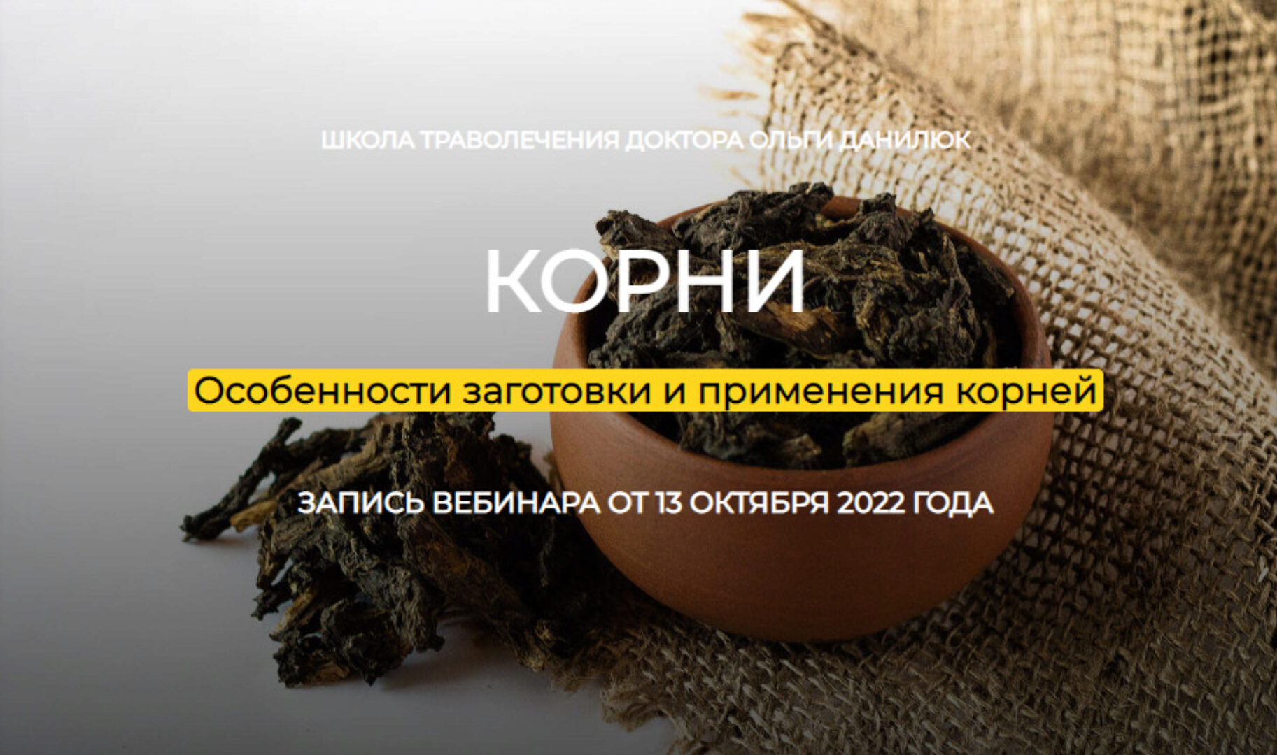 Корни. Особенности заготовки и применения корней (Ольга Данилюк)