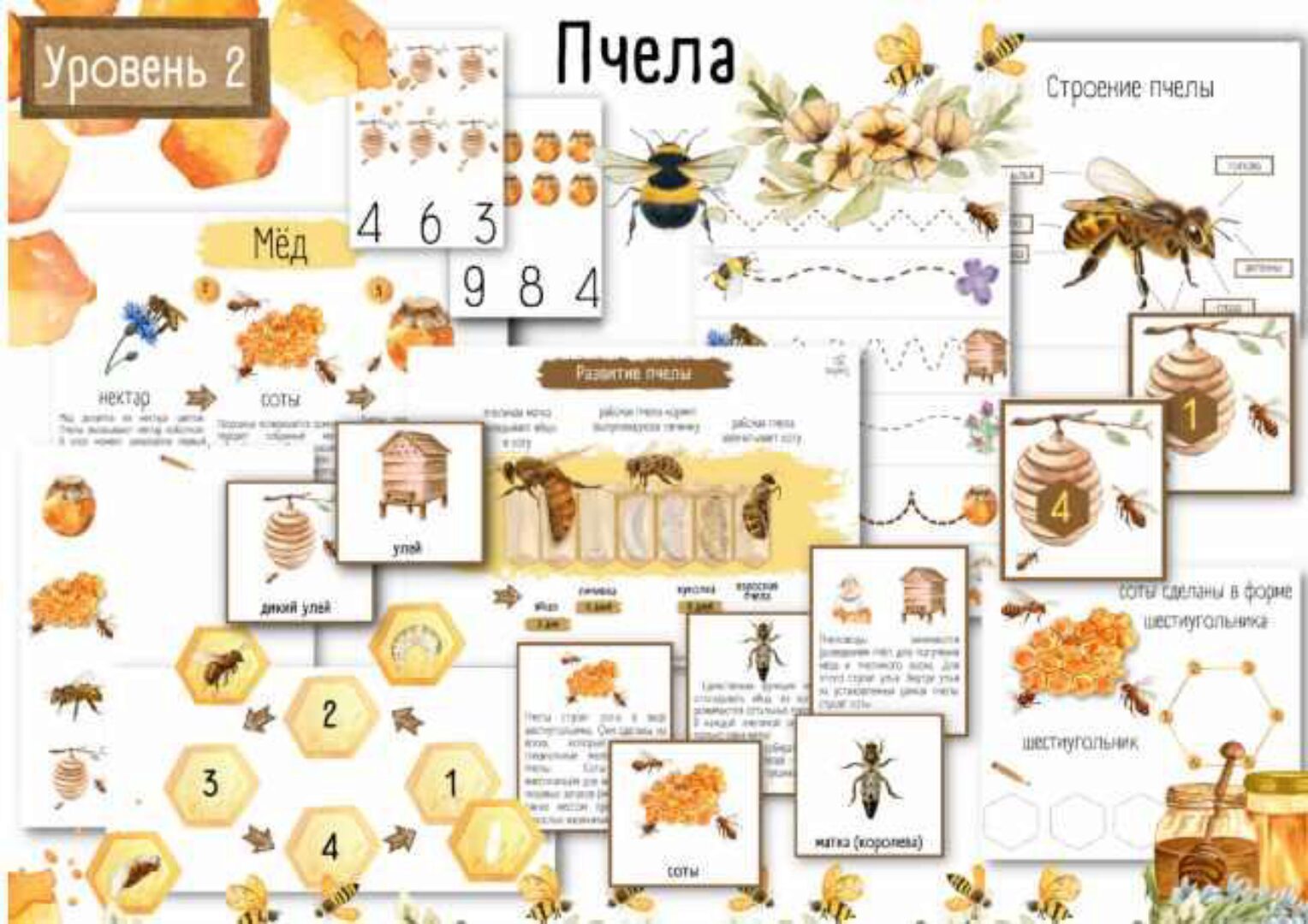 [busy-bee] Пчелы (Елена Самсонова)