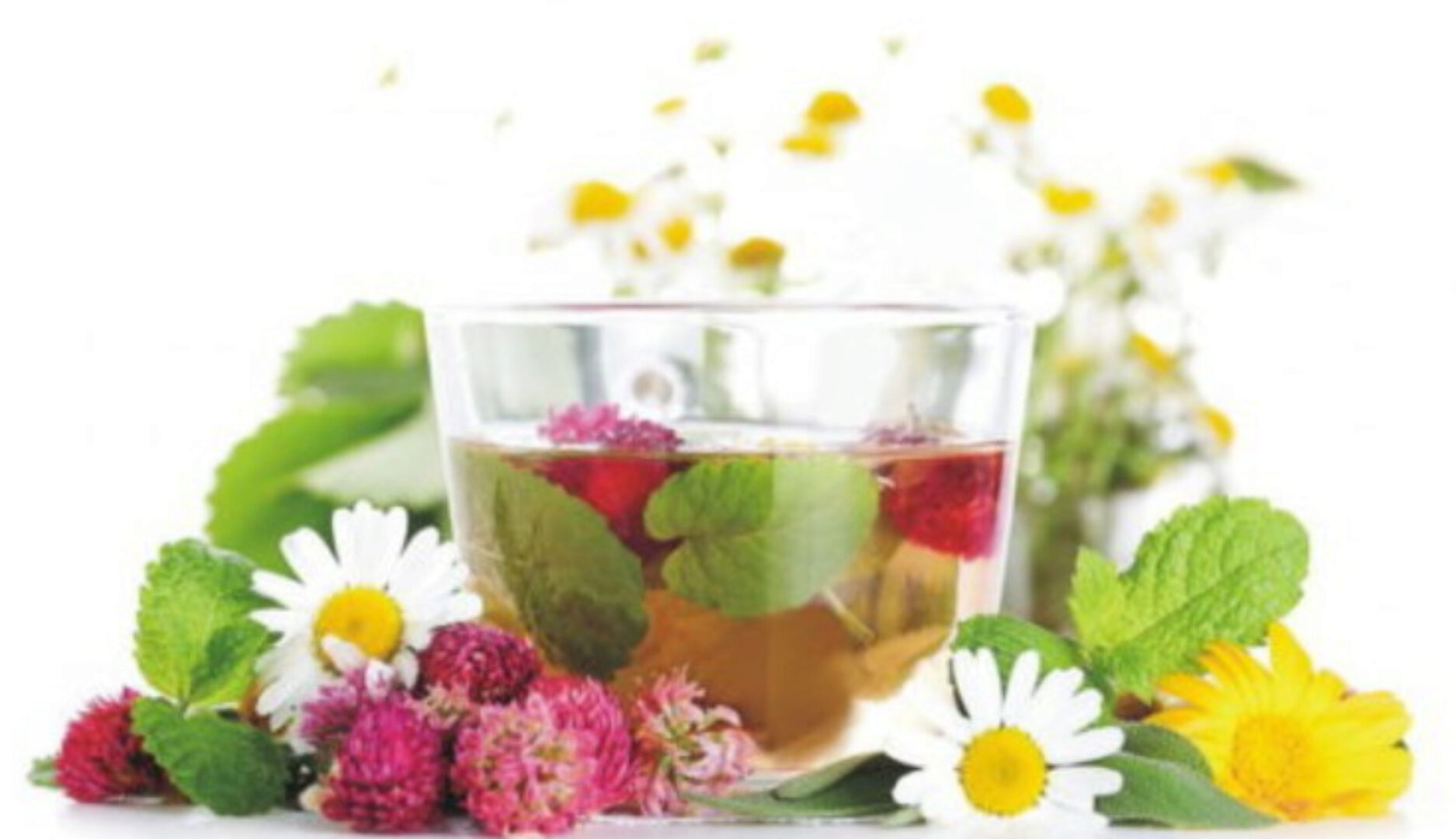 Нутрициология. Природные вещества для замедления старения организма + целебные свойства клюквы (Владимир Дадали)