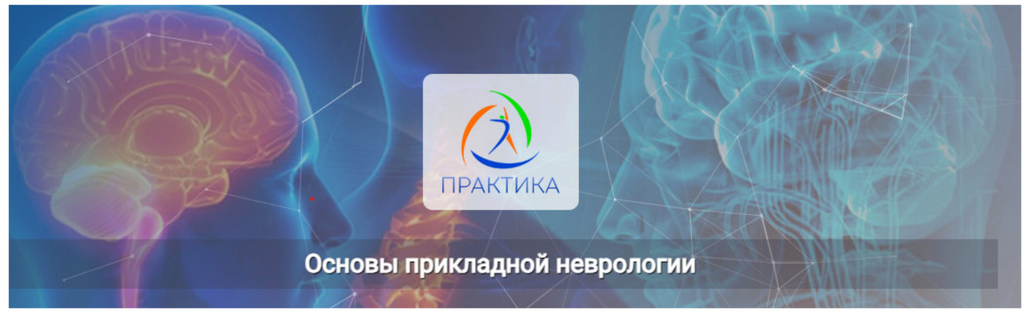 [Практика] Основы прикладной неврологии (Мария Недре)