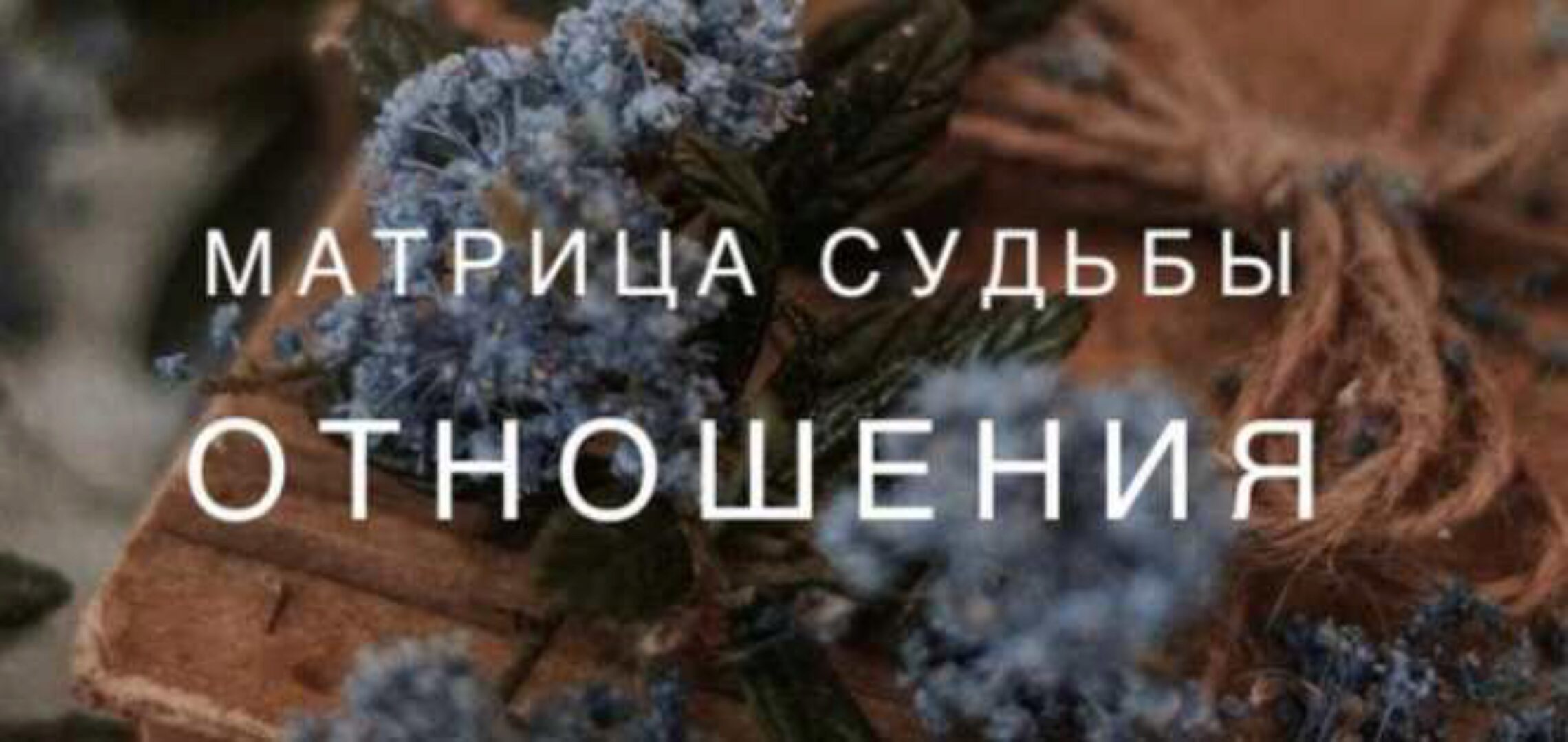 Матрица Судьбы- отношения (Ксения Ликич)