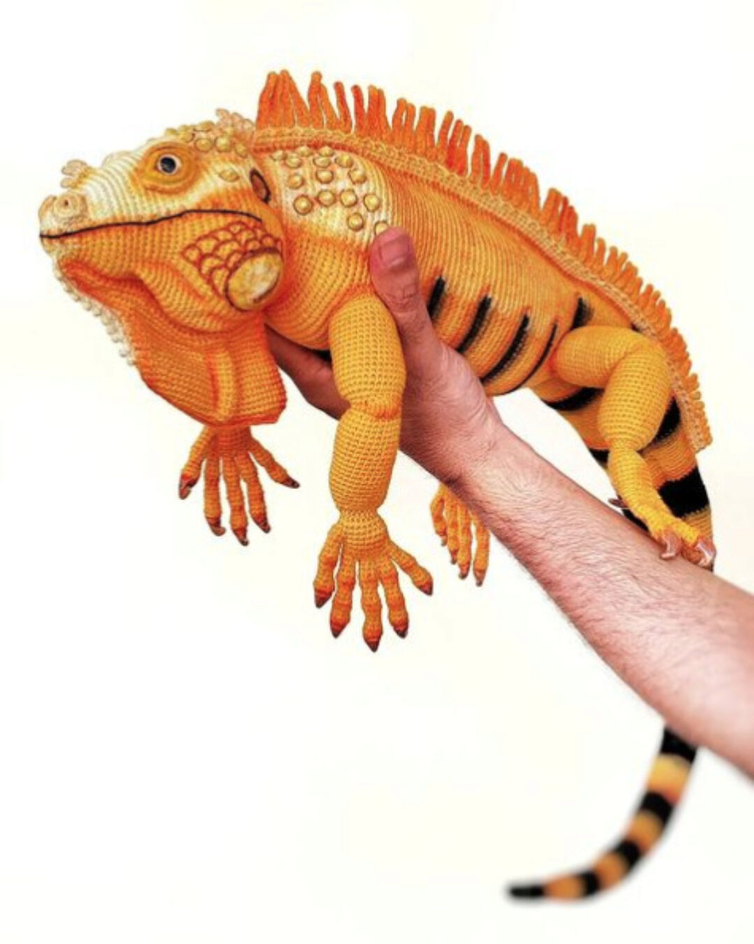 Игуана (Ксения Абдуллина)