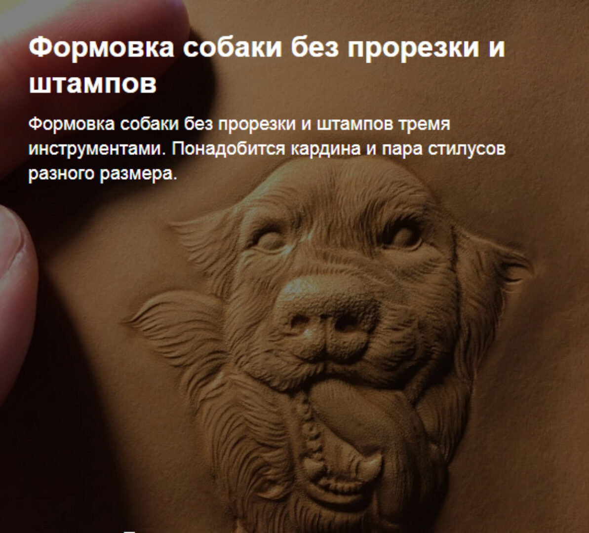 [Wolf_54] Формовка собаки без прорезки и штампов. Холодное тиснение кожи (Екатерина Вертола)