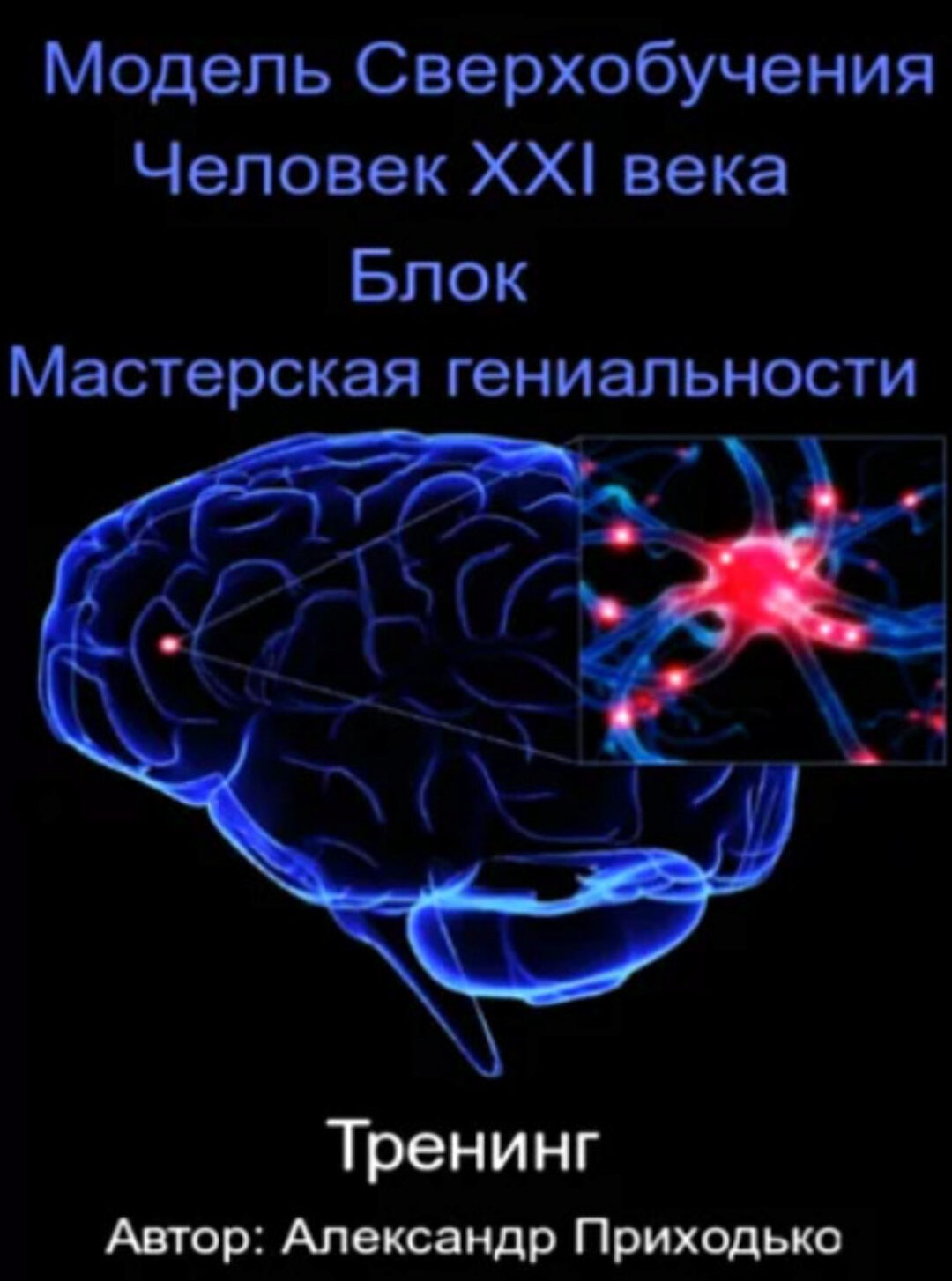 Модель cверхобучения: Человек XXI века. Блок Мастерская гениальности. Пакет VIP (Александр Приходько)