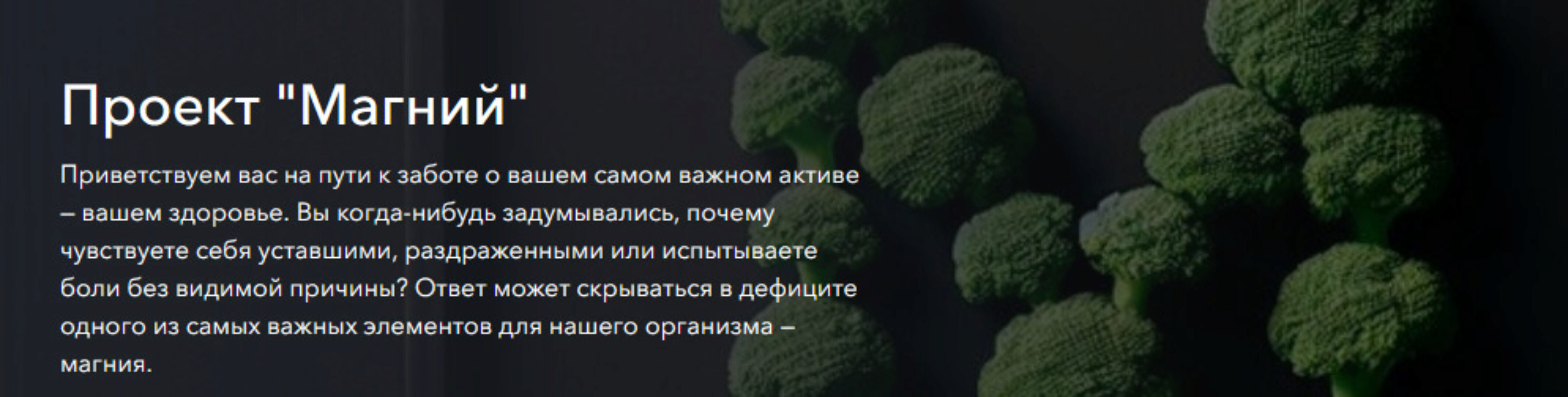 Магний. Тариф Основной (Гульфия Павлова)