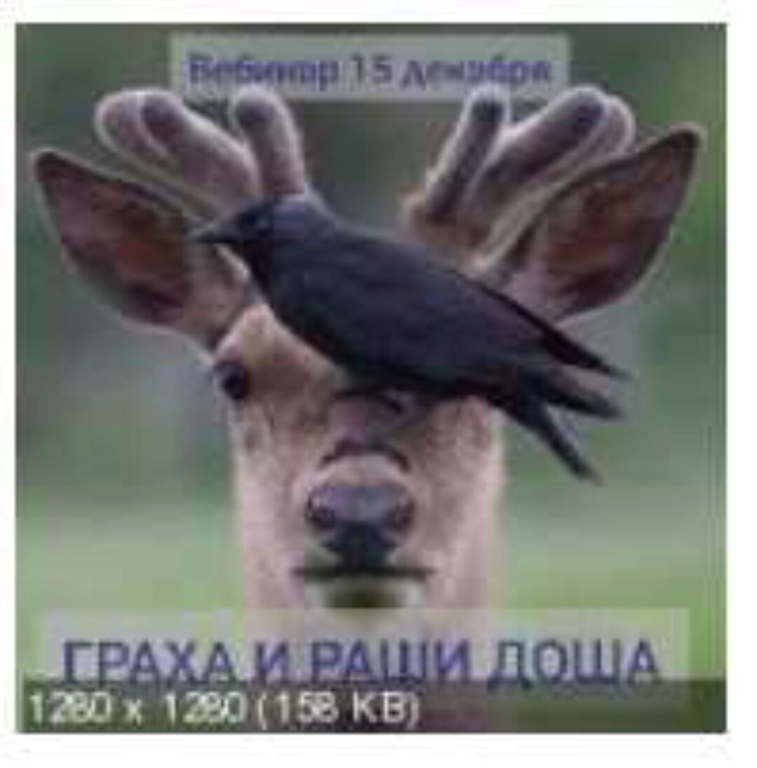 Грaxa дoшa и Рaши дoшa (Андрей Ларионов)