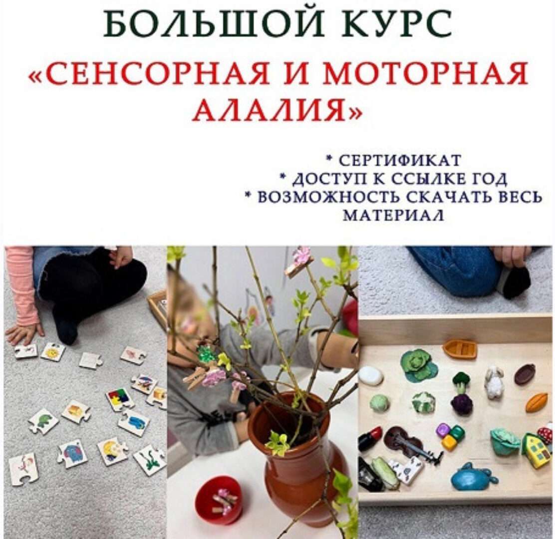 [k_logopedy] Сенсорная и моторная алалия (Ангелина Сыщенко)