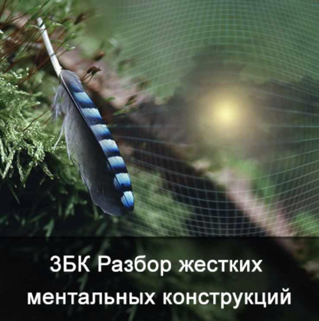3БК Разбор жестких ментальных конструкций (Ксения Меньшикова)