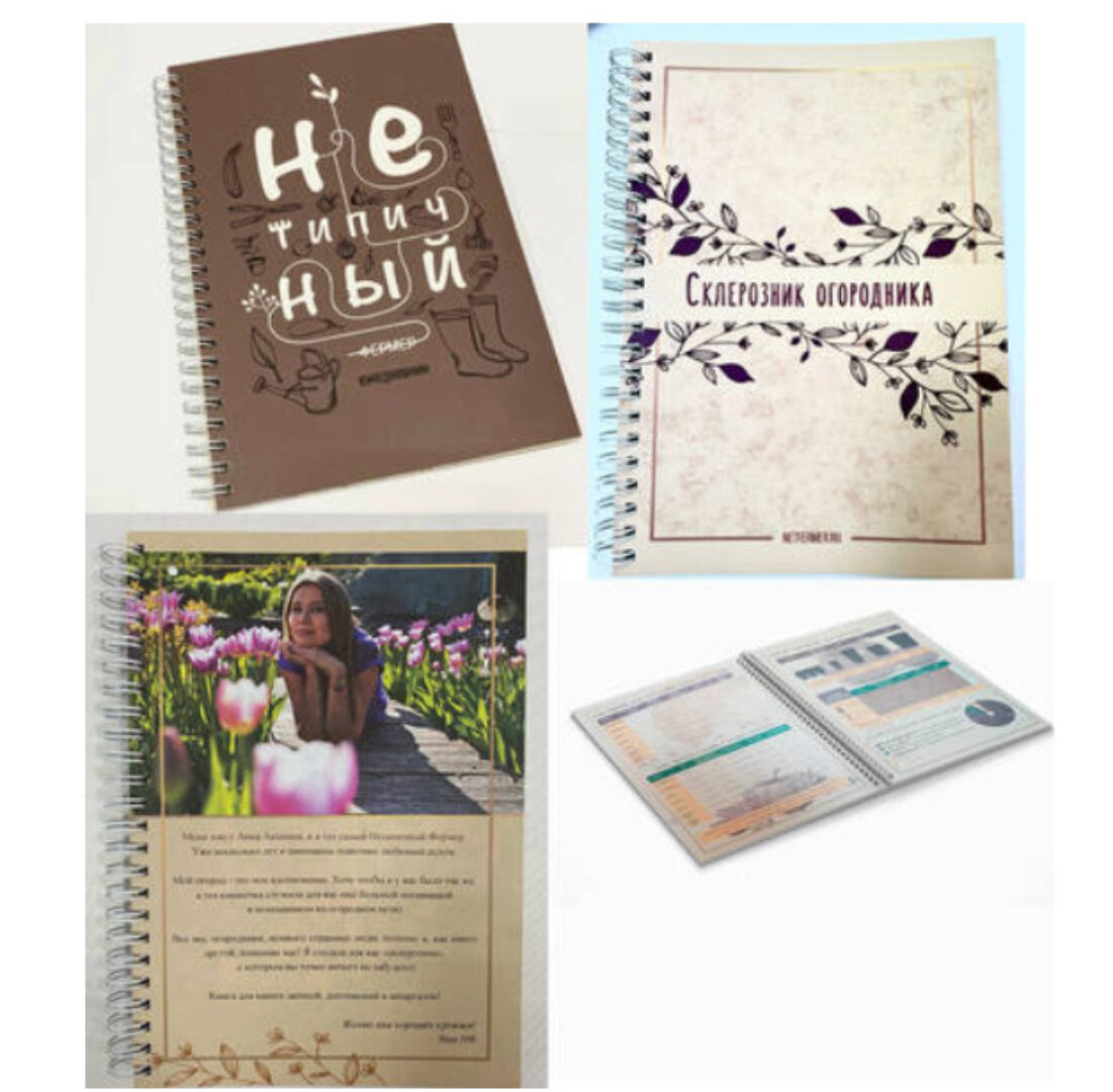 Склерозник огородника (Анна Акинина)