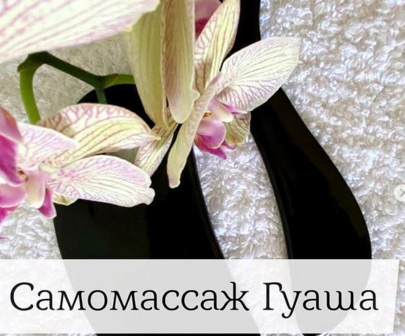 Гуаша для лица и зоны декольте (Наталья Андерсон)