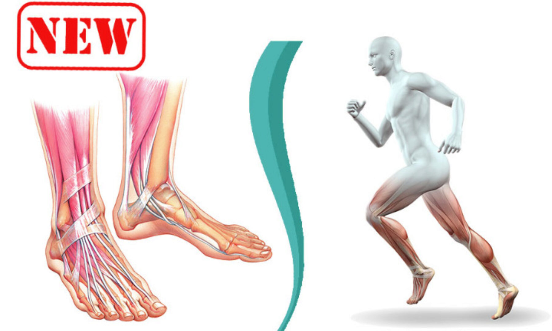 [move4s] Восстановление паттерна шага. Стопа (Леля Савосина)