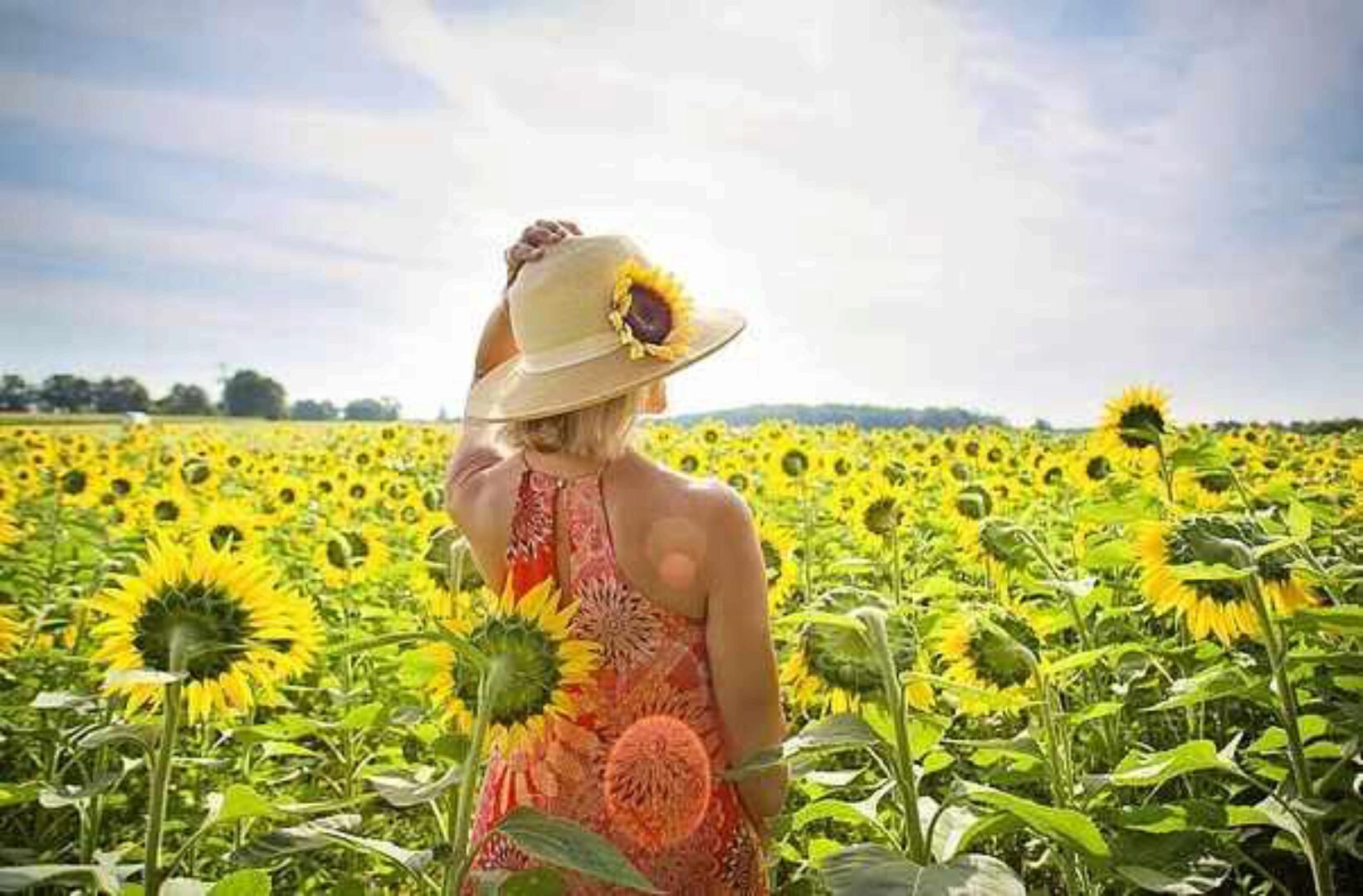 Высокие вибрации (Lee)