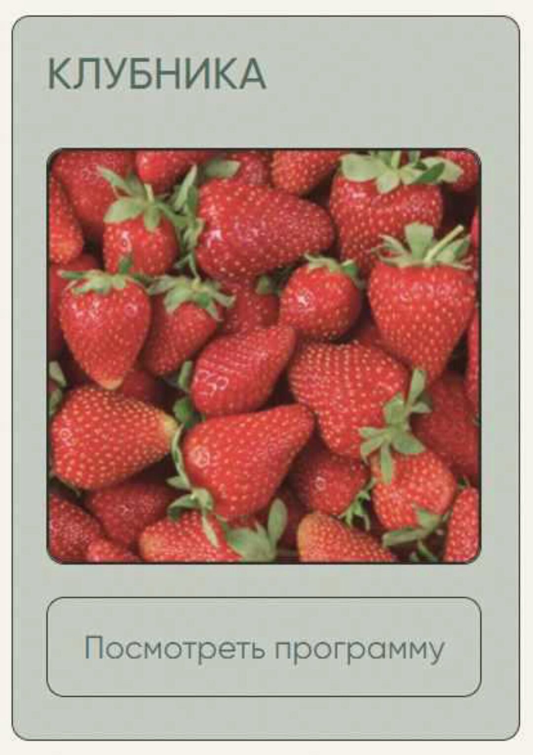 [Школа нетипичного фермера] Клубника (Анна Акинина)