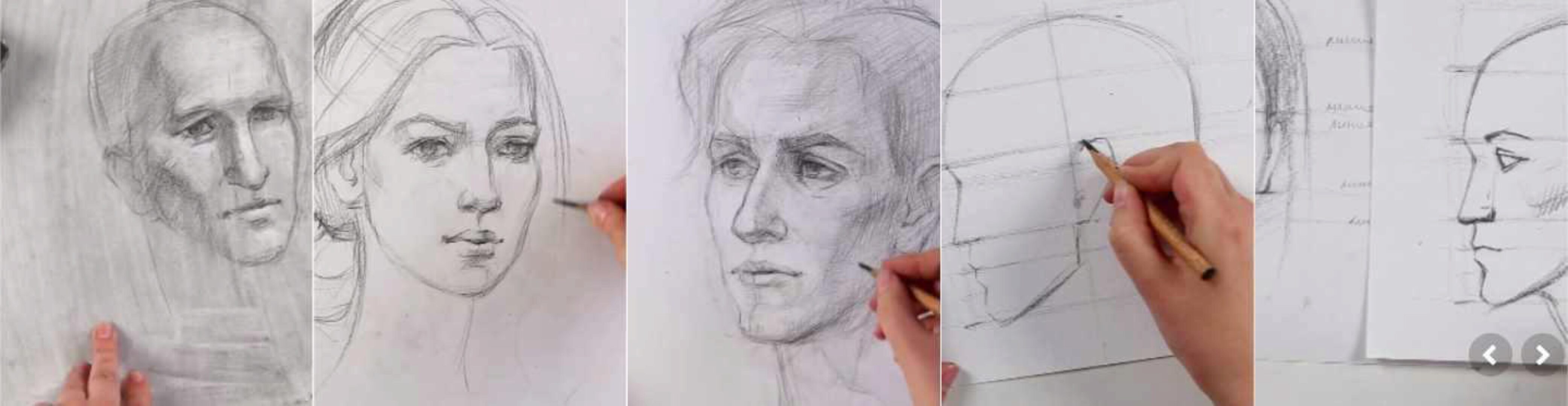 [lectoroom] Рисунок портрета для начинающих (Александра Сухорукова)