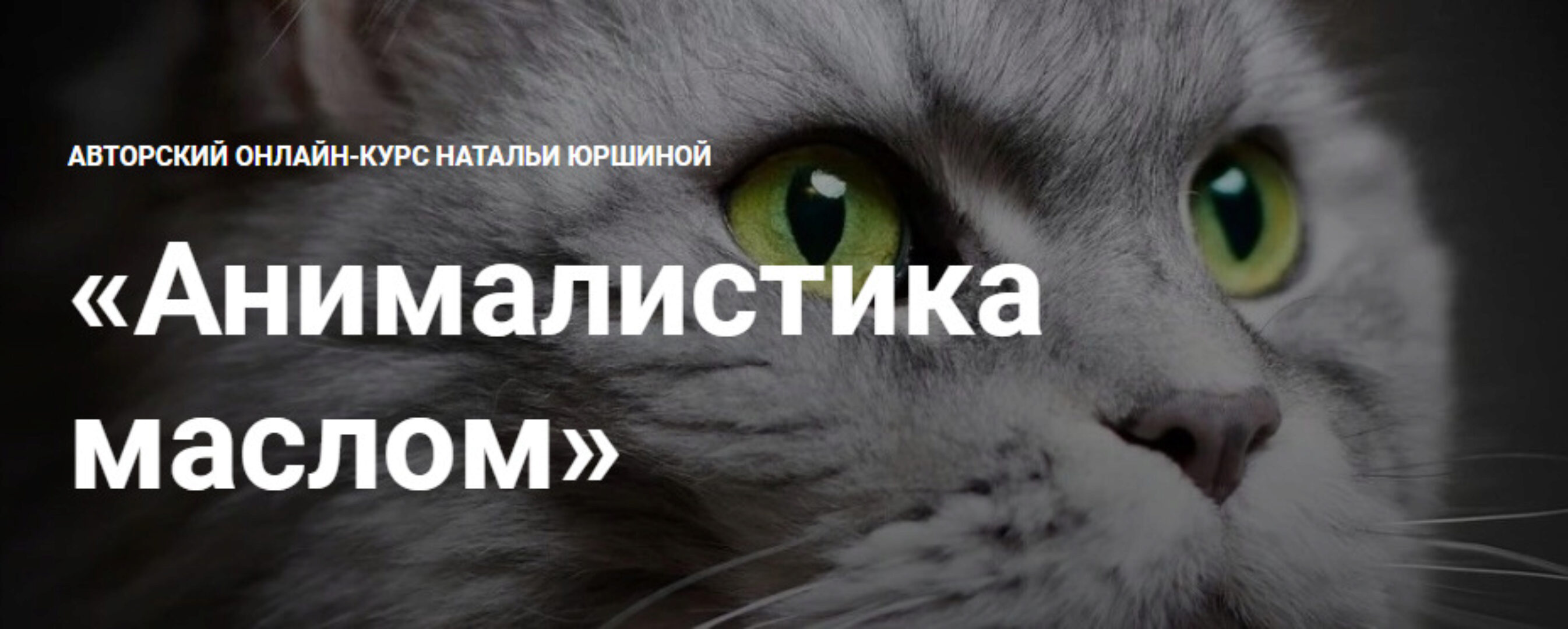 [NY school] Анималистика маслом. Тариф максимальный (Наталья Юршина)