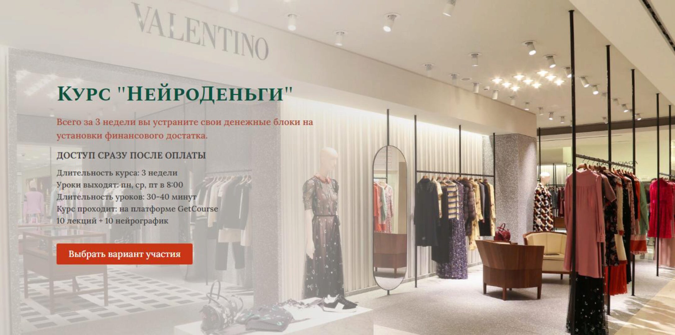 Нейроденьги. Тариф Стандарт (Ольга Мир)