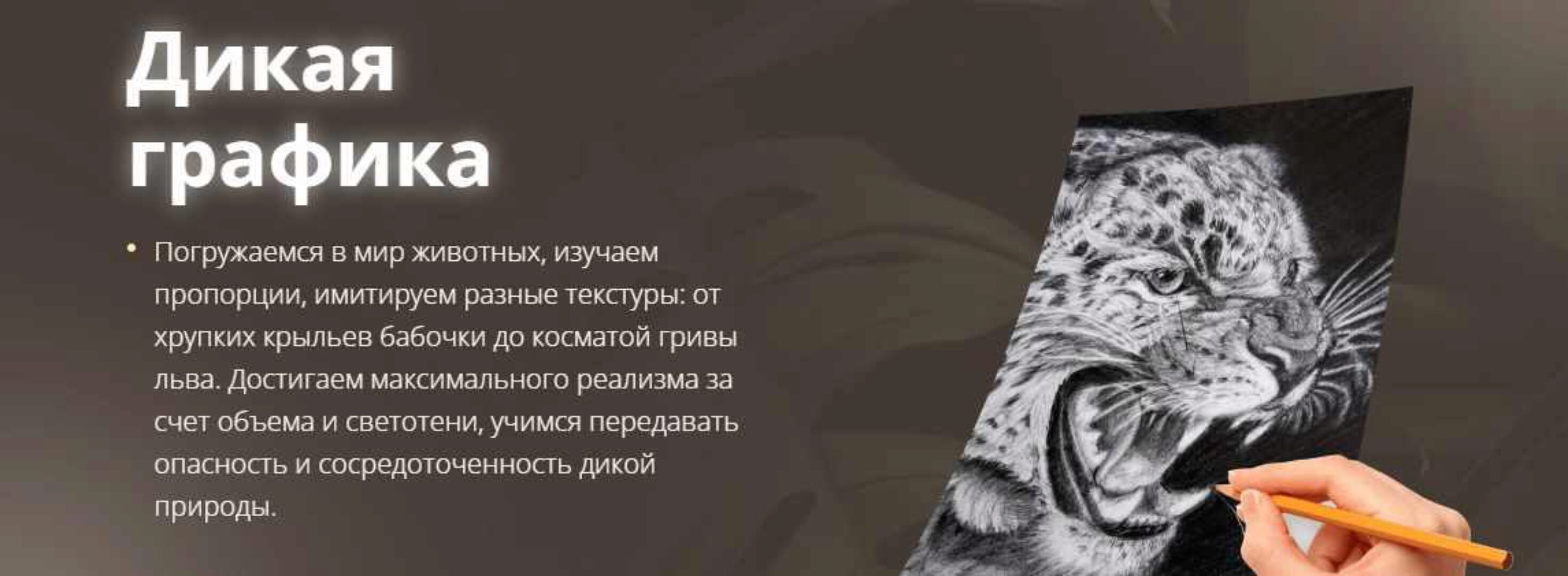 Дикая графика. Пакет Gold (Егор Матита)