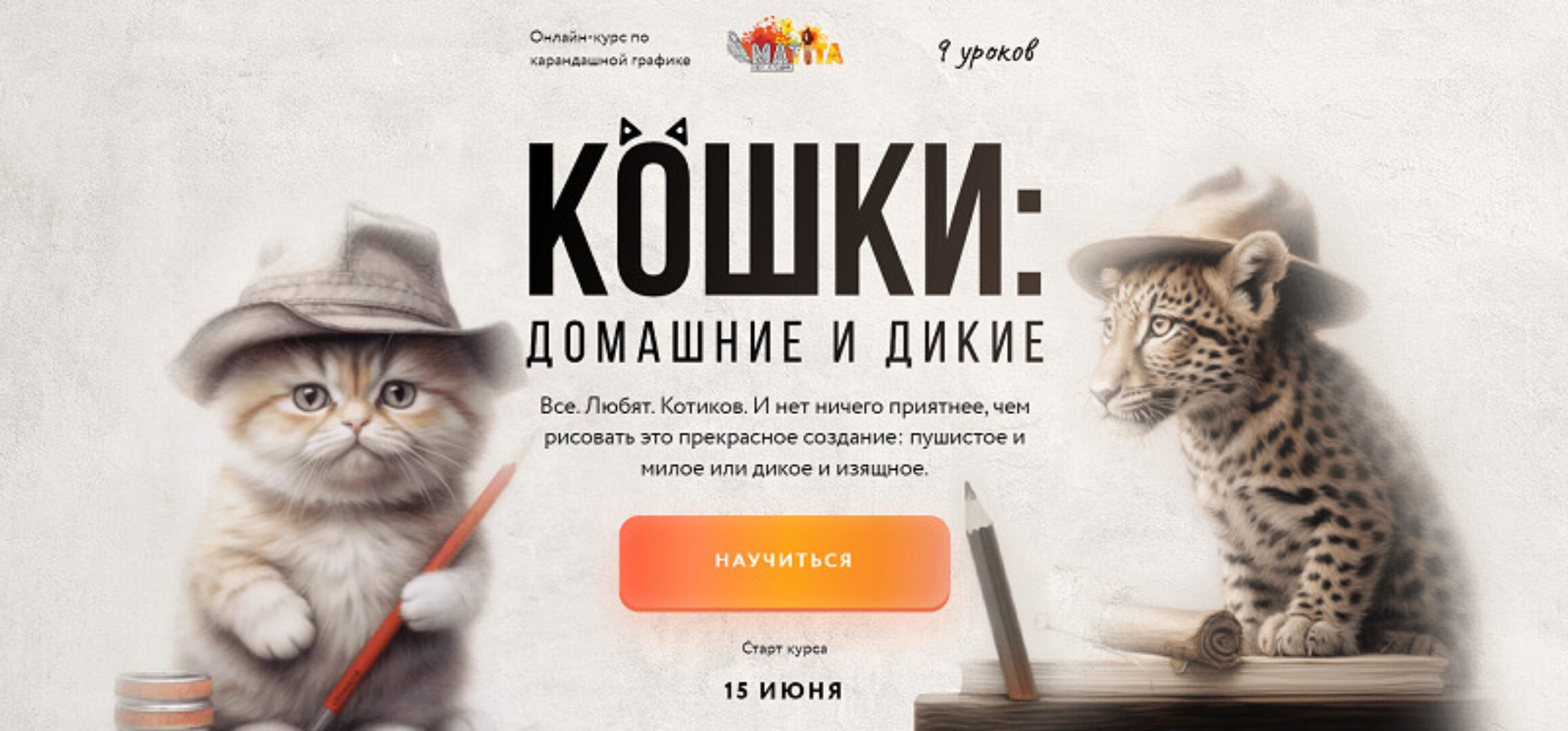 Кошки: домашние и дикие. Тариф Базовый (Мария Сергеева)