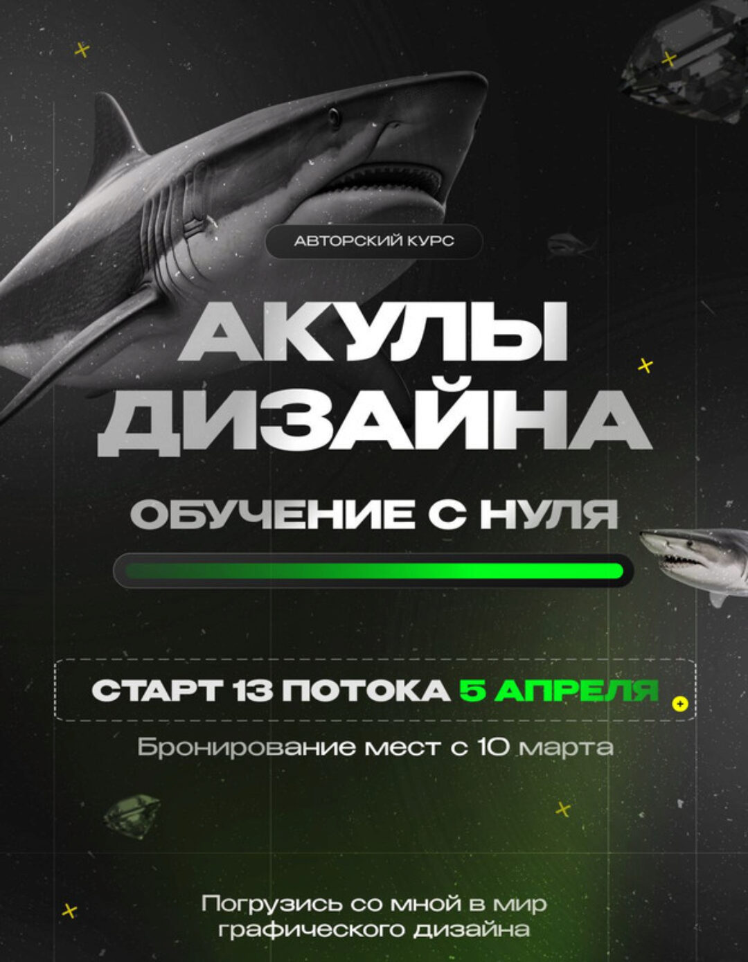 Акулы дизайна. Тариф Самостоятельный (Лилия Асылханова)