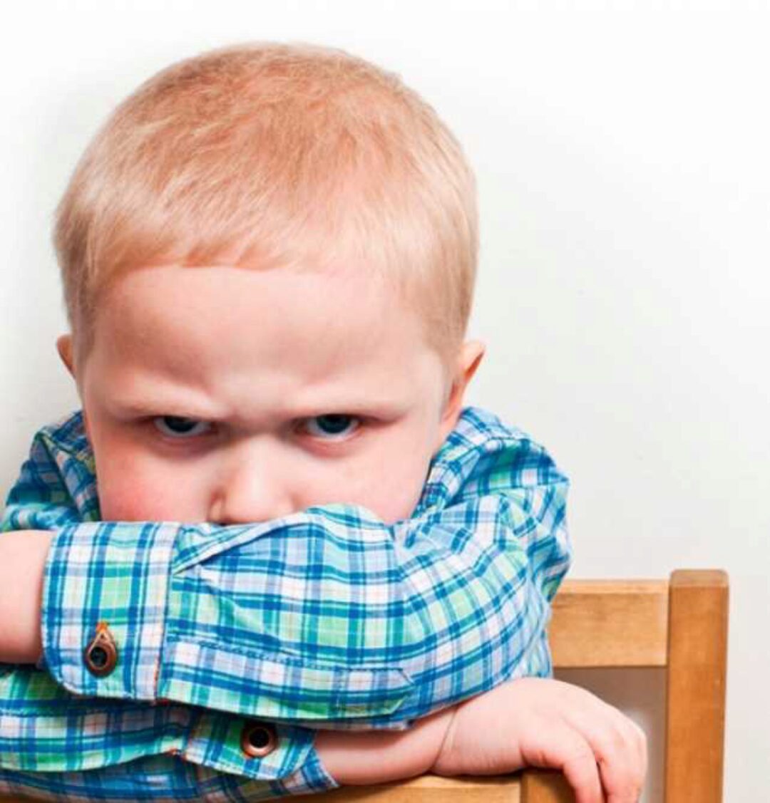 [Мамин Дом] Истерики, агрессия и непослушание ребенка. Как справляться? (Галина Елтонская)