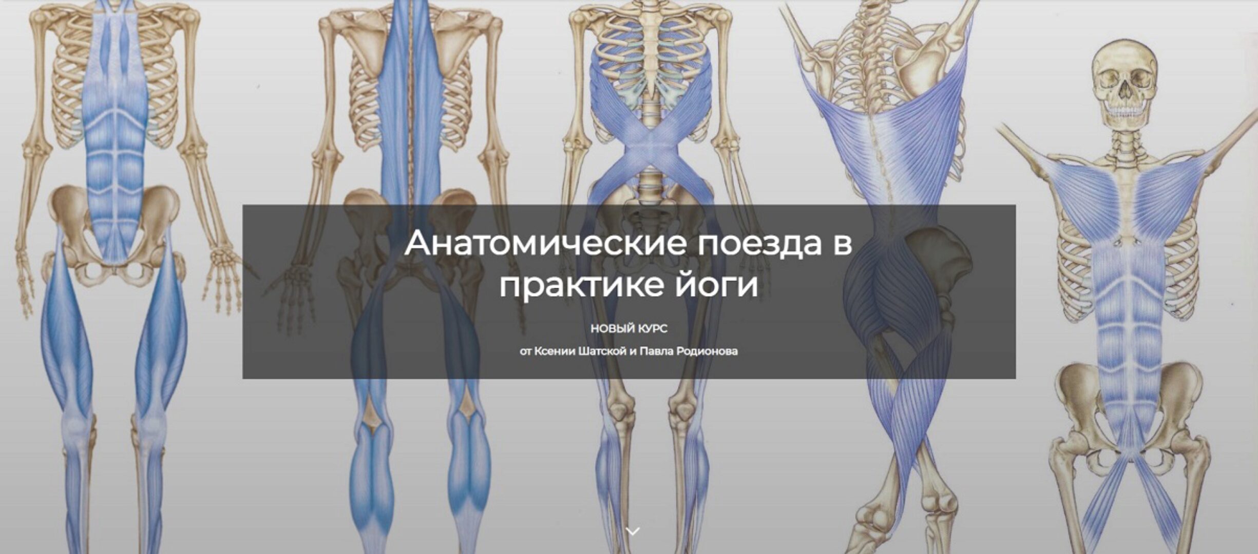 [Basebody] Анатомические поезда в практике йоги (Ксения Шатская, Павел Родионов)